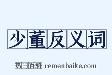 少董反义词是什么意思的图片